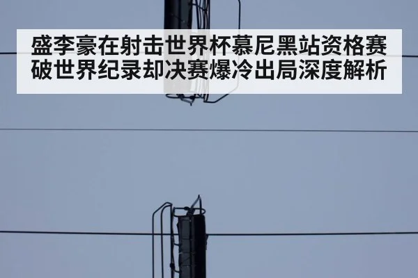 盛李豪在射击世界杯慕尼黑站资格赛破世界纪录却决赛爆冷出局深度解析